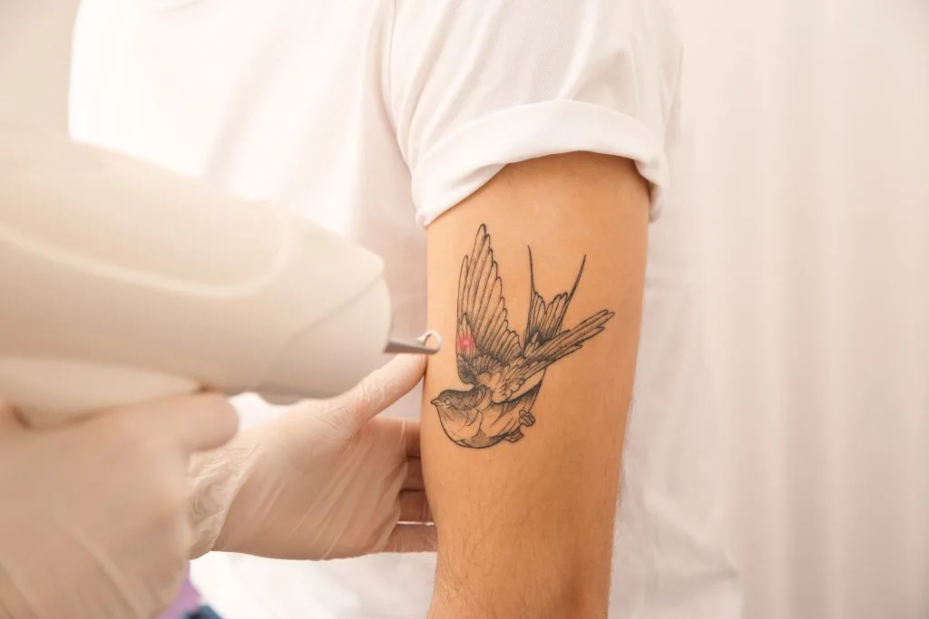 Practitioner examining bird tattoo on patient's arm during consultation